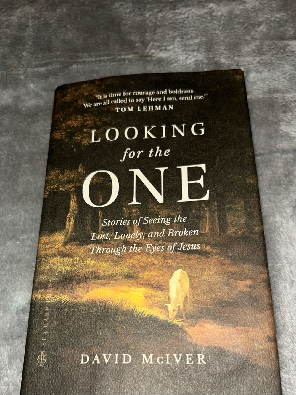 Looking For The One By David Mclver, Hardcover, 2023